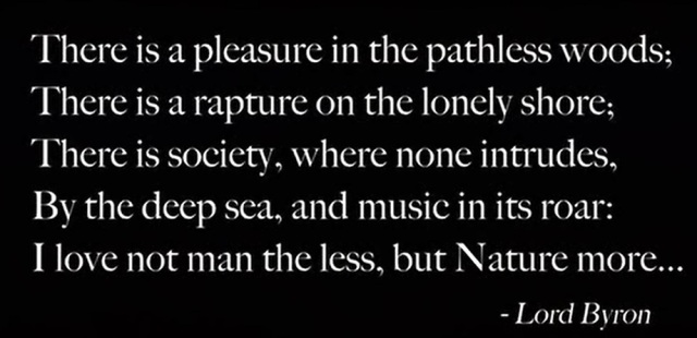there-is-a-pleasure-in-the-pathless-woods
